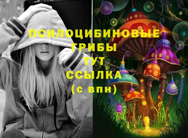 метадон Богородицк