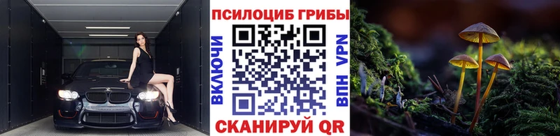 закладка  Комсомольск  Псилоцибиновые грибы ЛСД 